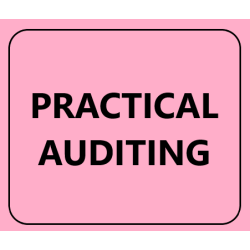 PRACTICAL AUDITING BY DR.V.RADHA FOR PRASANNA PUBLICATIONS