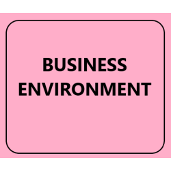 BUSINESS ENVIRONMENT BY DR.V.RADHA FOR PRASANNA PUBLICATIONS